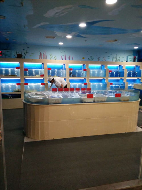 酒店海鲜池产品介绍与在线咨询服务